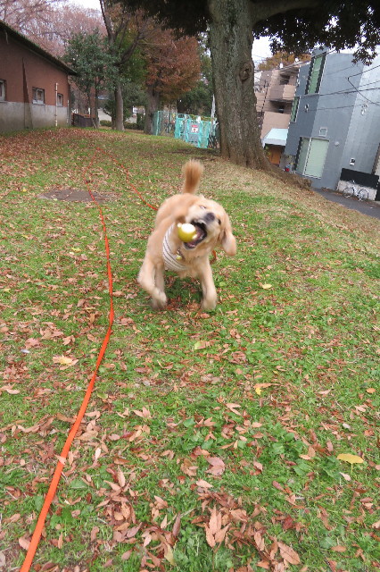 ファイル 6855-5.jpg