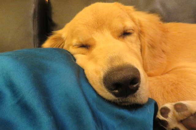 ファイル 6856-2.jpg