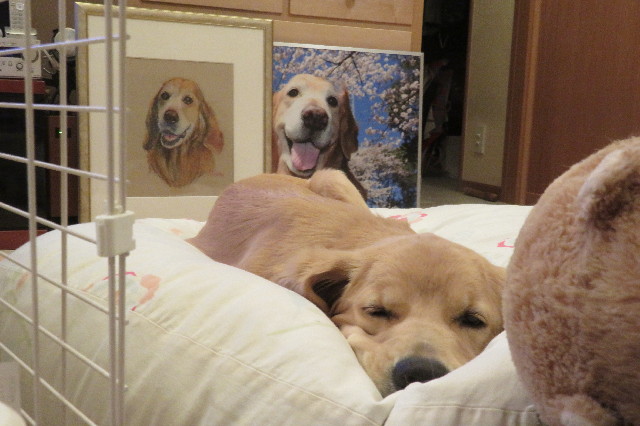 ファイル 6856-3.jpg