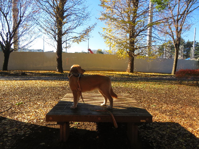 ファイル 6858-4.jpg