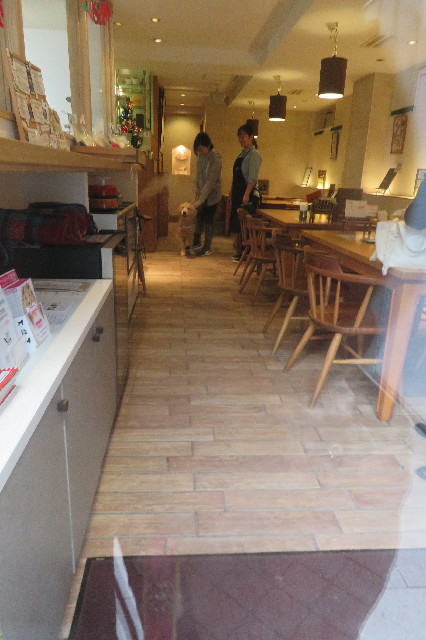 ファイル 6859-1.jpg