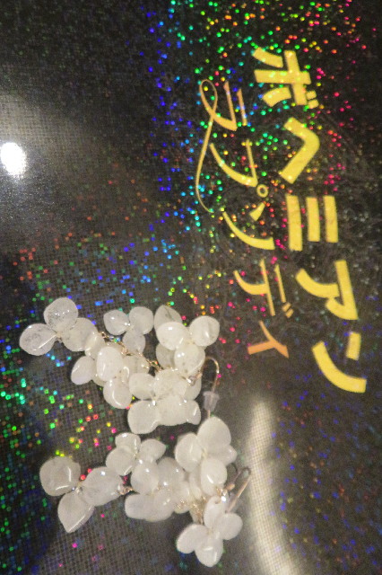 ファイル 6859-3.jpg