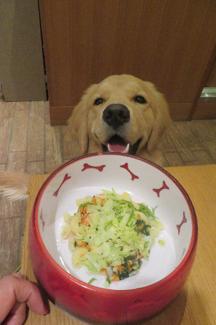 ファイル 6859-5.jpg