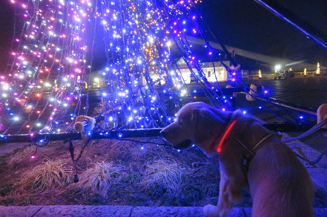 ファイル 6860-2.jpg