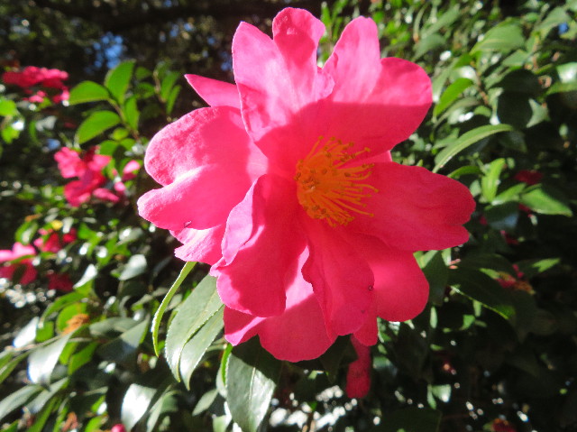 ファイル 6865-5.jpg