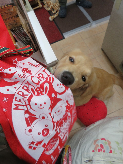 ファイル 6869-2.jpg