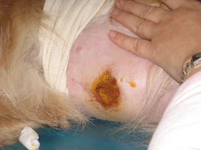 ファイル 687-3.jpg