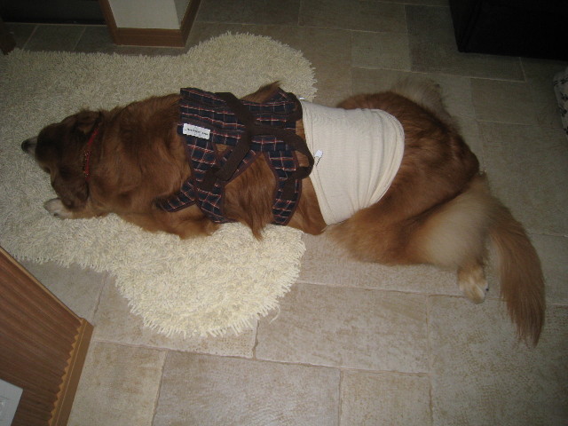 ファイル 687-4.jpg