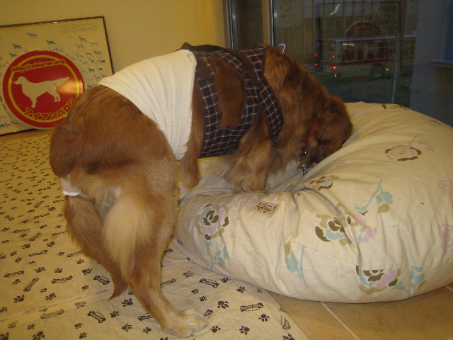 ファイル 687-5.jpg