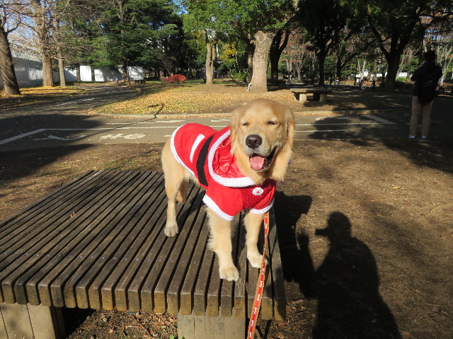 ファイル 6873-2.jpg