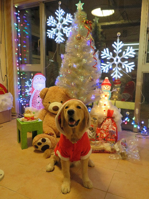 ファイル 6874-3.jpg