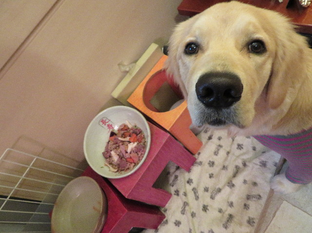 ファイル 6875-1.jpg