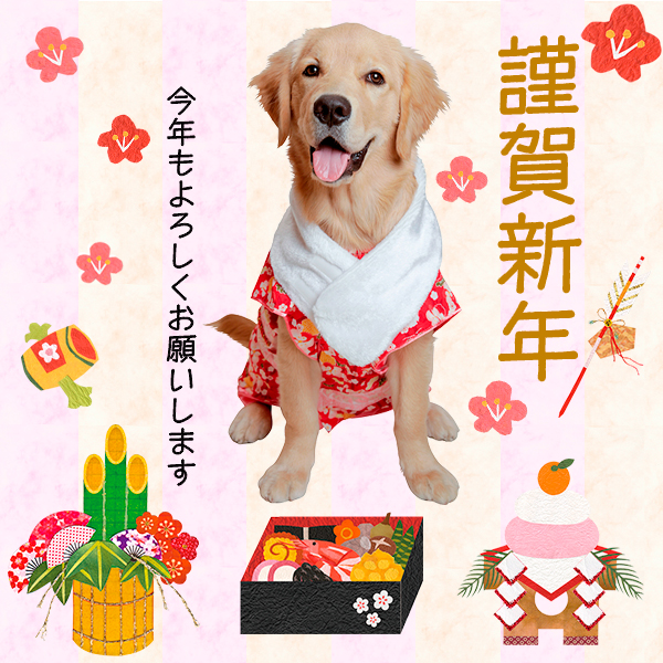 ファイル 6879-1.jpg