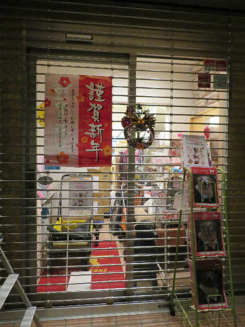 ファイル 6881-1.jpg