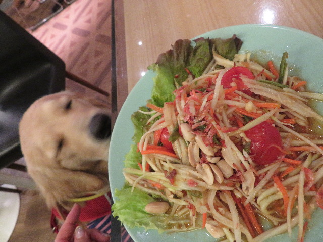 ファイル 6881-3.jpg