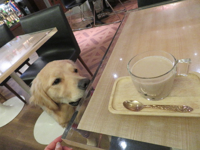 ファイル 6881-5.jpg