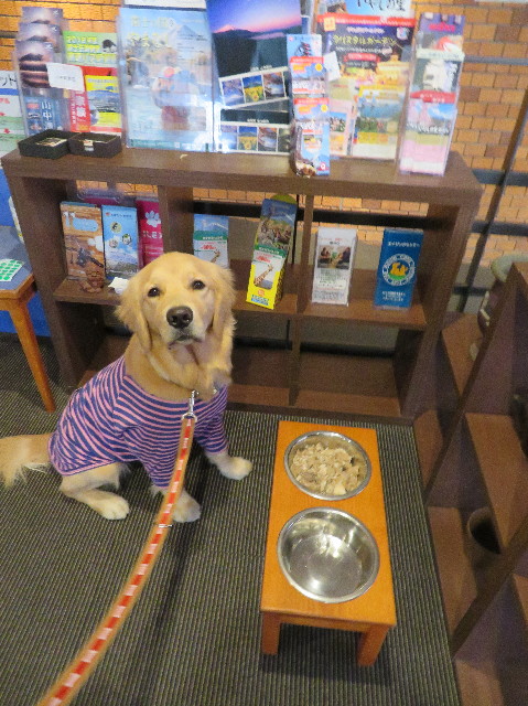 ファイル 6882-5.jpg