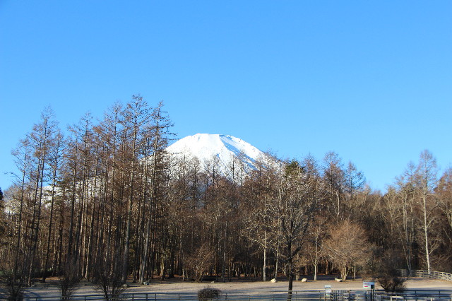 ファイル 6887-2.jpg