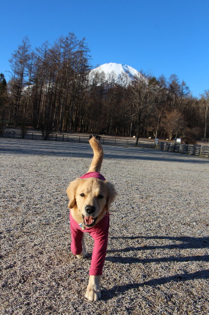 ファイル 6888-3.jpg