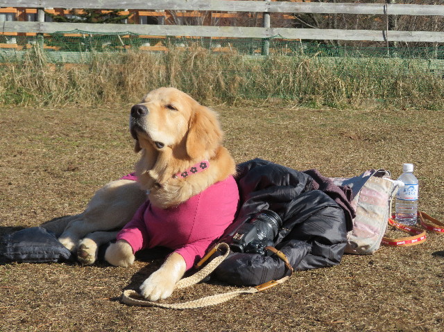 ファイル 6889-2.jpg