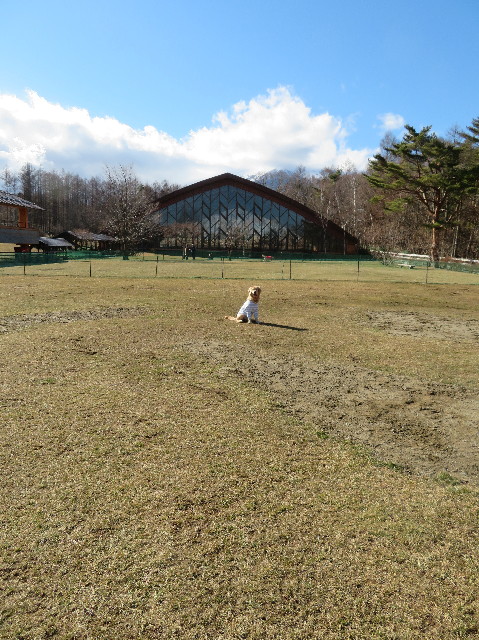 ファイル 6893-3.jpg