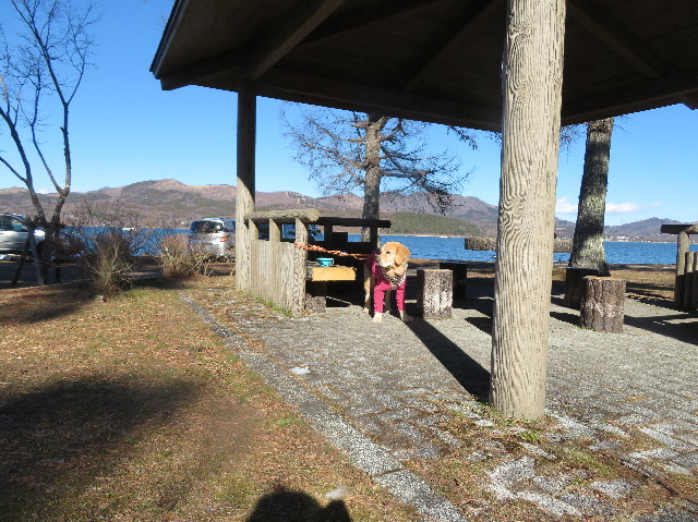 ファイル 6897-1.jpg