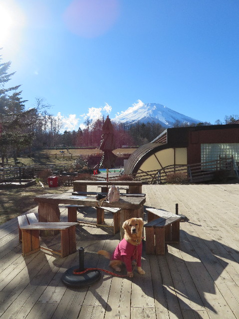 ファイル 6897-3.jpg