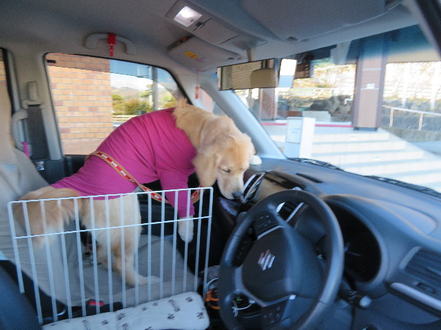 ファイル 6897-5.jpg