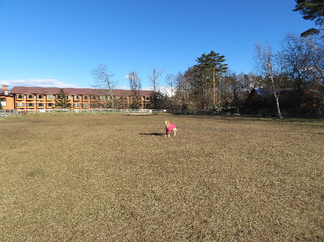 ファイル 6898-1.jpg