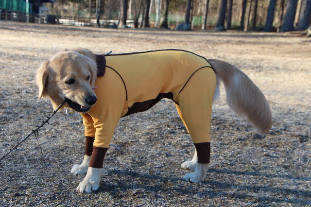 ファイル 6899-3.jpg