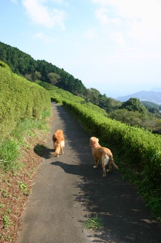 ファイル 69-2.jpg