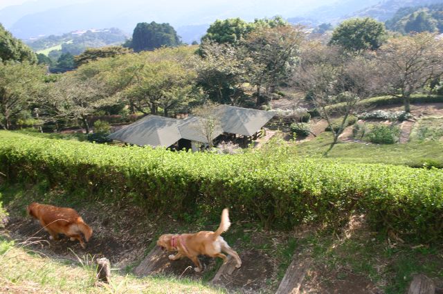 ファイル 69-3.jpg