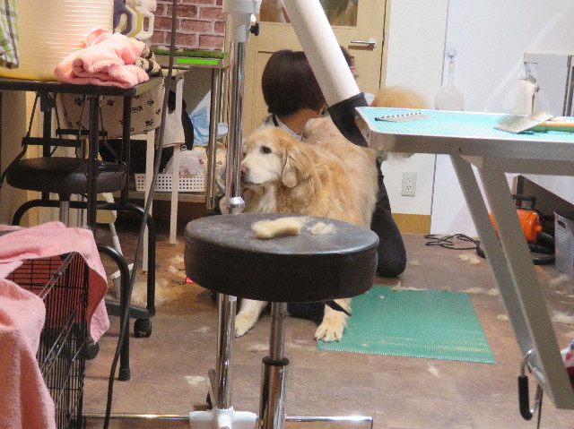 ファイル 6904-2.jpg