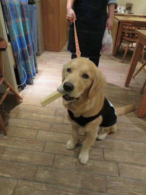 ファイル 6904-5.jpg