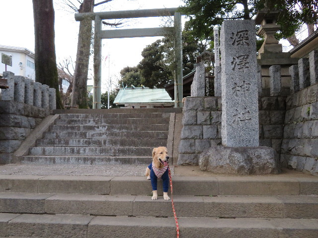 ファイル 6905-1.jpg