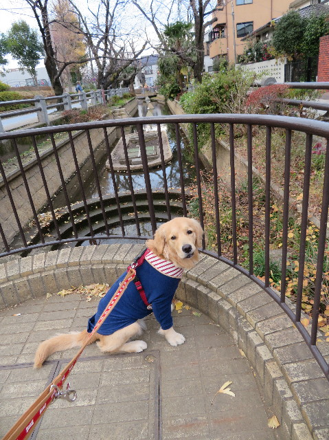 ファイル 6905-3.jpg