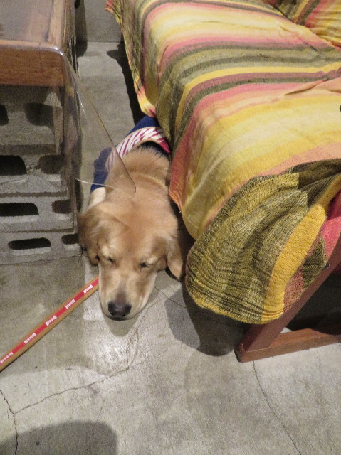 ファイル 6905-5.jpg