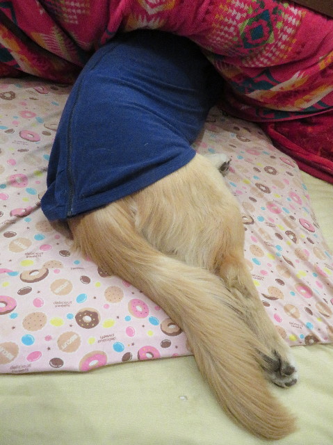 ファイル 6906-5.jpg