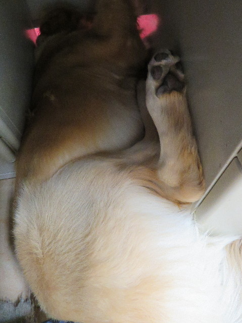 ファイル 6907-2.jpg