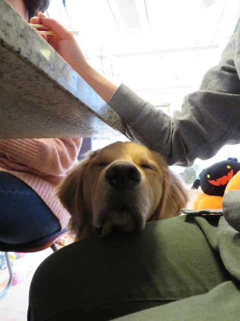 ファイル 6908-1.jpg