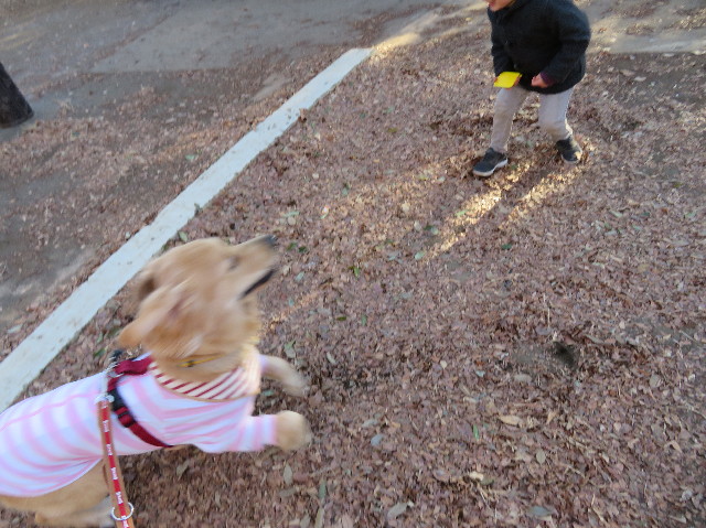 ファイル 6908-3.jpg