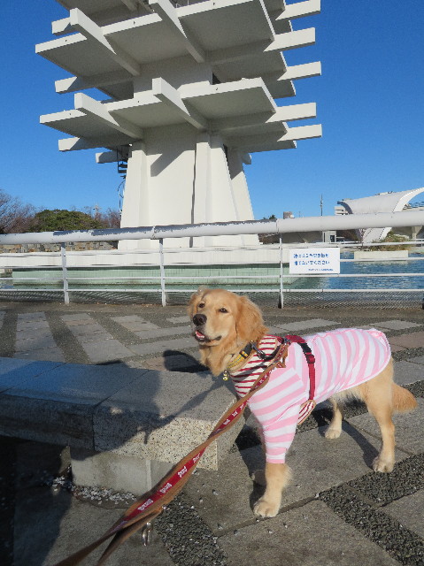 ファイル 6908-5.jpg