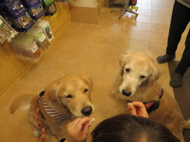 ファイル 6912-3.jpg