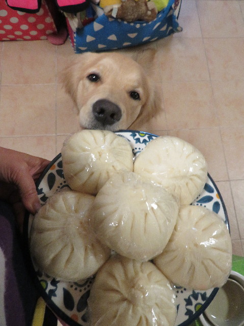 ファイル 6912-4.jpg