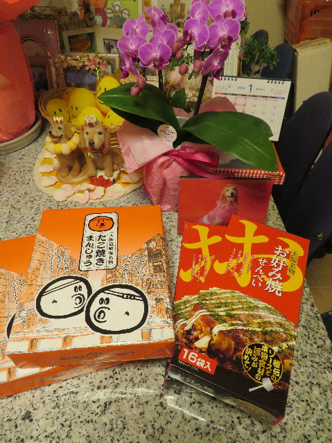 ファイル 6912-5.jpg