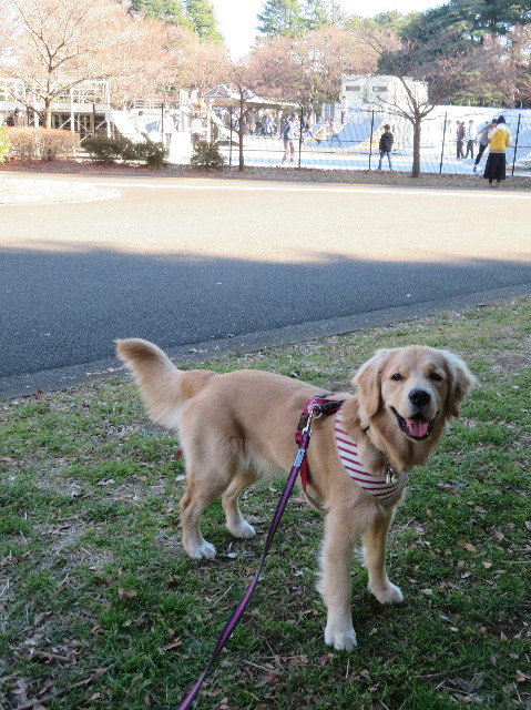 ファイル 6913-1.jpg