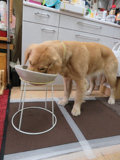 ファイル 6913-3.jpg