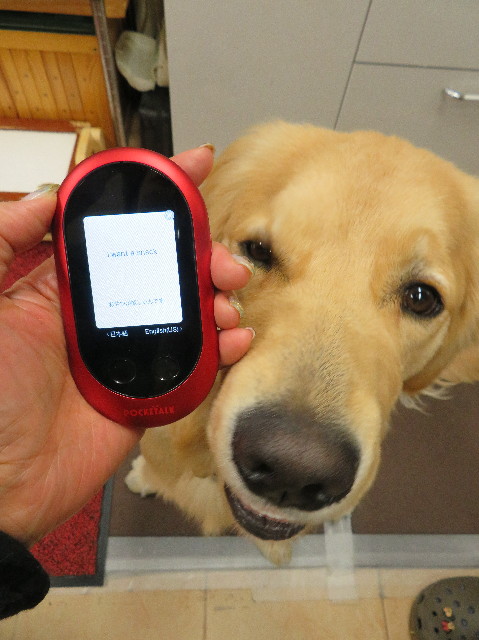 ファイル 6913-4.jpg