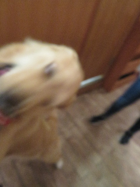 ファイル 6916-5.jpg