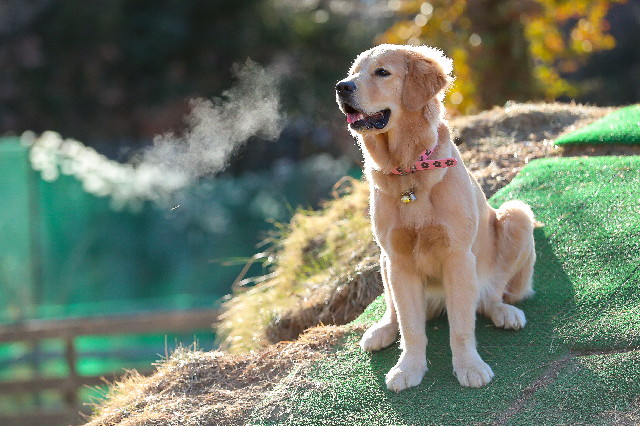 ファイル 6917-1.jpg